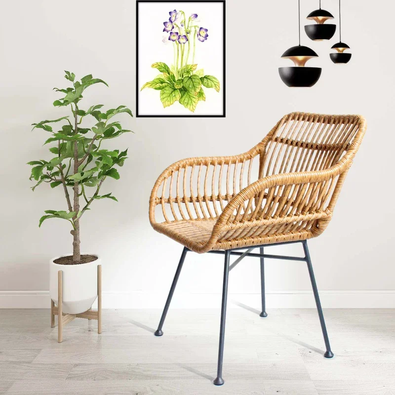 Nordic Dining Chairs for Kitch - Outdoor Furniture Metal Chairs recension och pris